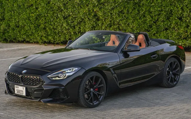 BMW Z4 - image 1