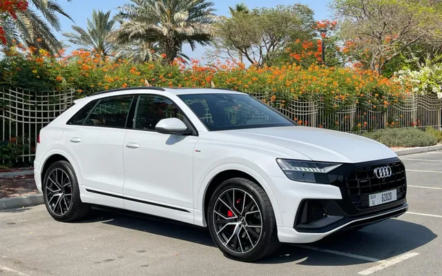 AUDI Q8 - image 4