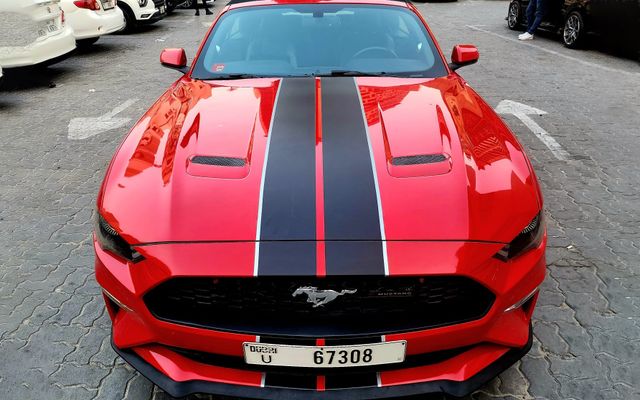 FORD MUSTANG (CONT) - image 2