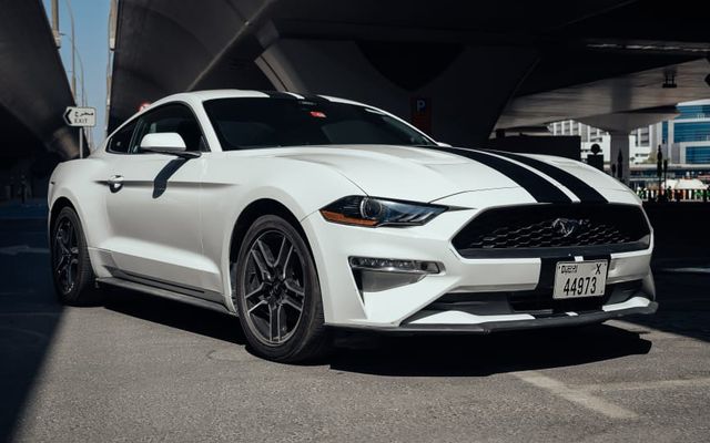 FORD MUSTANG COUPE - image 1