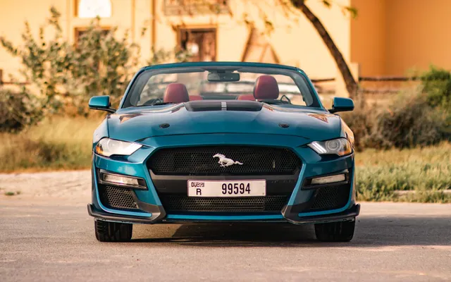 FORD MUSTANG - image 3