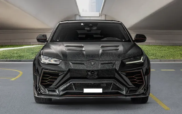 LAMBORGHINI URUS MANSORY - image 3