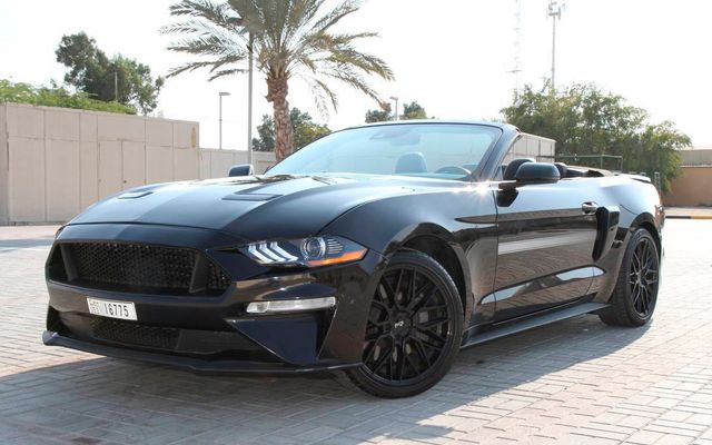 Ford Mustang - image 1