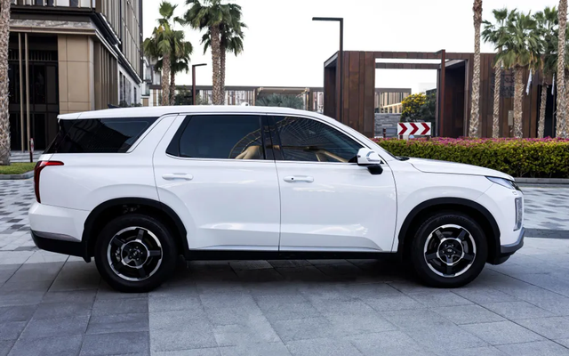Hyundai Palisade - image 4
