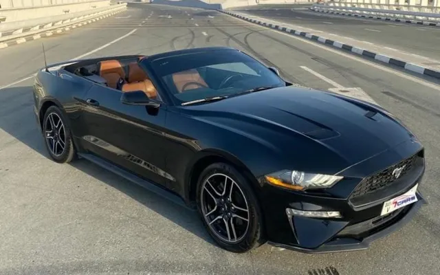 Ford Mustang - image 1
