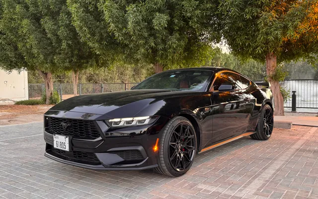 Ford Mustang - image 1