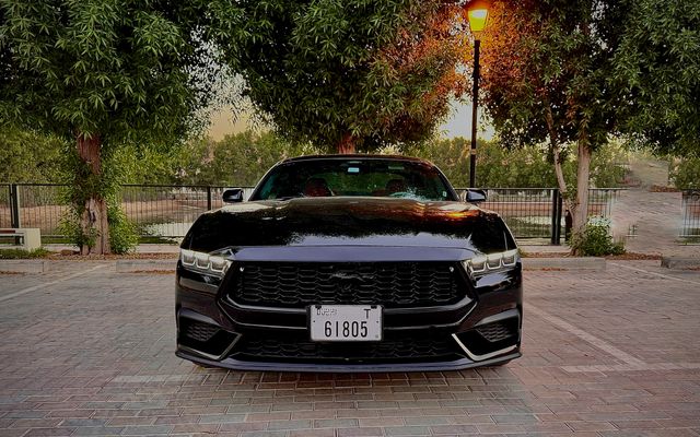 Ford Mustang - image 2