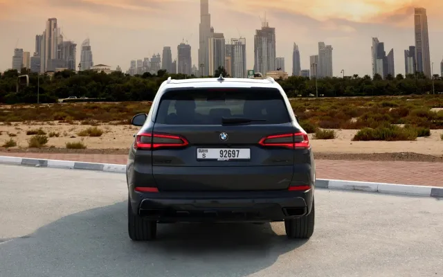 BMW X5 Gray - image 4
