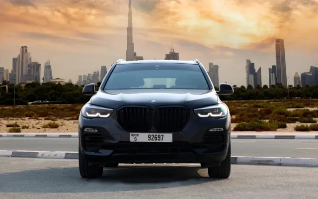 BMW X5 Gray - image 2