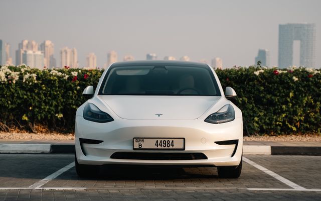 Tesla Model 3 - image 3