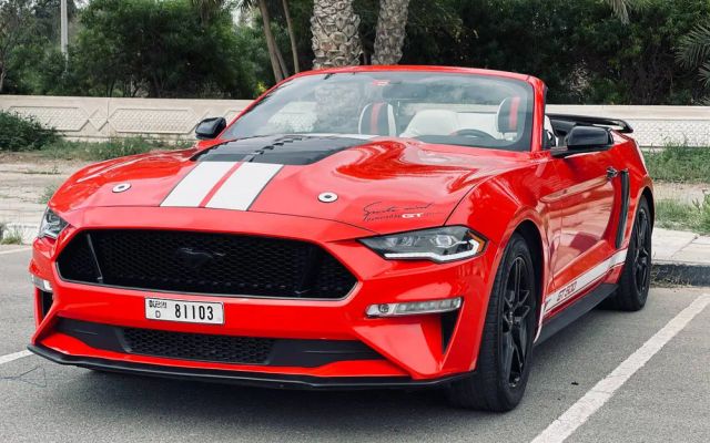 FORD MUSTANG - image 1