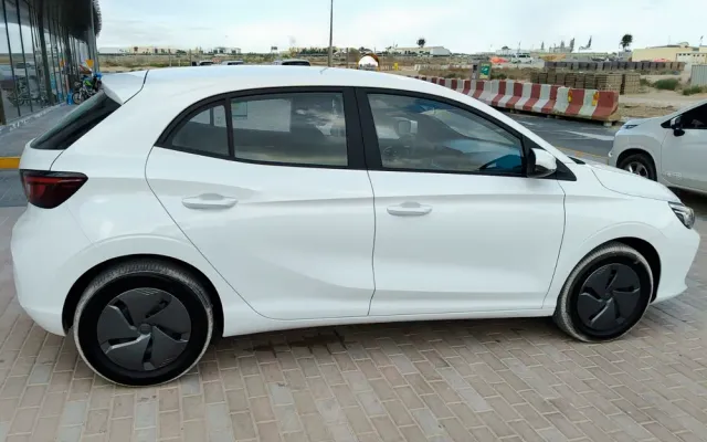 MG 3 - image 3
