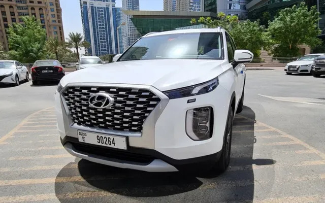 Hyundai Palisade - image 1