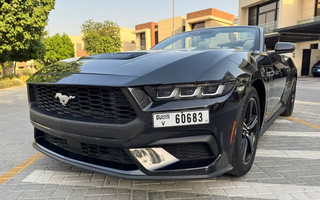 FORD MUSTANG - image 1