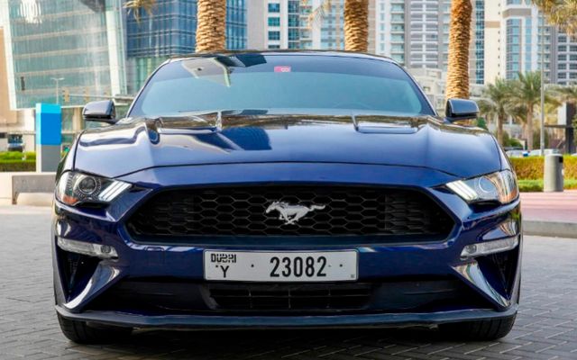 Ford Mustang - image 1