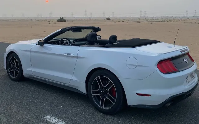 Ford Mustang - image 3