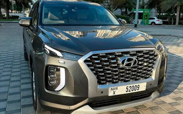 Hyundai Palisade - image 1