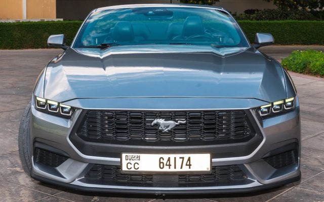 Ford Mustang - image 3