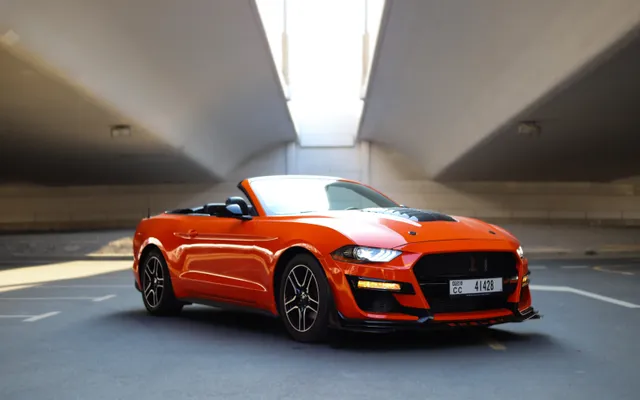 Ford Mustang Shelby Kit - image 1