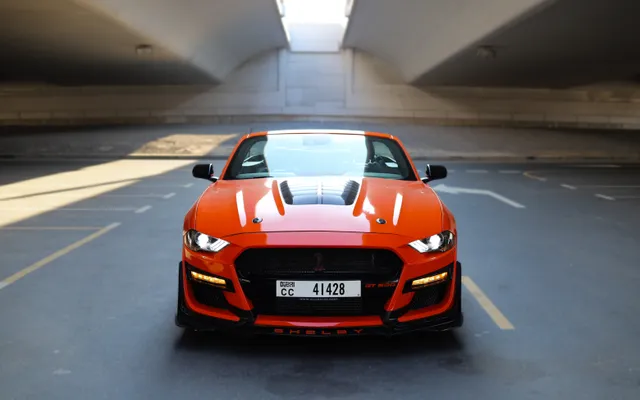 Ford Mustang Shelby Kit - image 3
