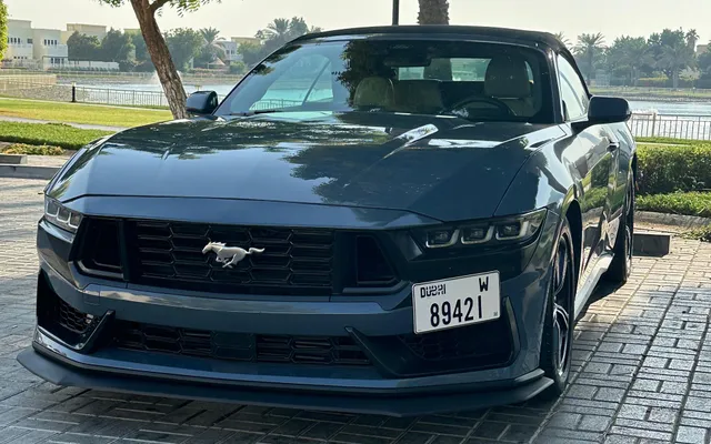 Ford Mustang - image 4