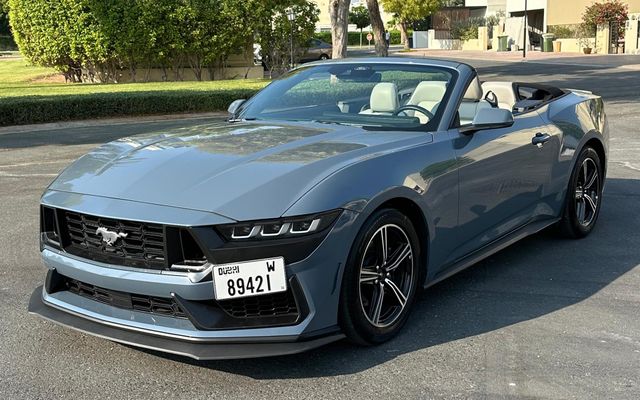 Ford Mustang - image 1