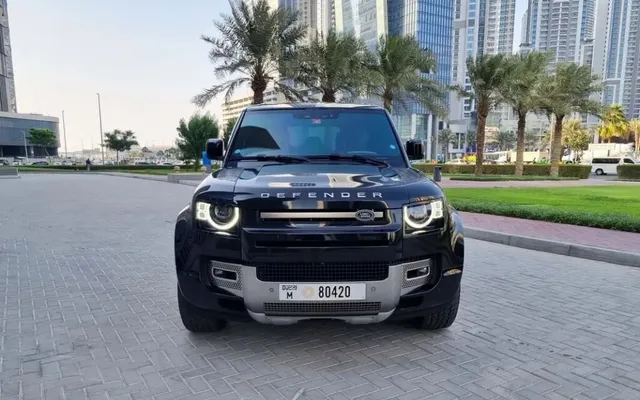 Land Rover Defender V6 - image 4