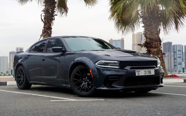 Dodge Charger - image 1