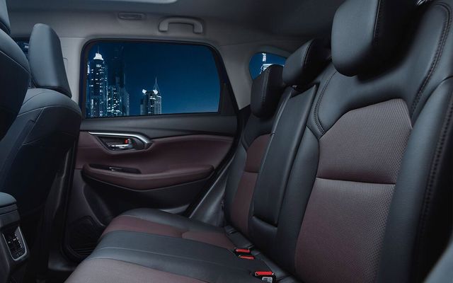 Toyota Urban Cruise - image 4