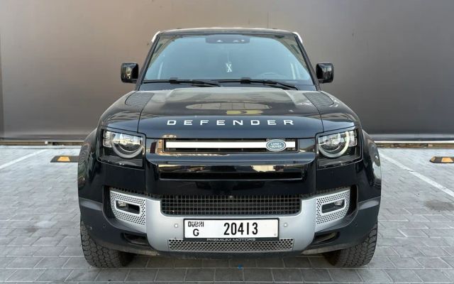 LAND ROVER DEFENDER - image 1
