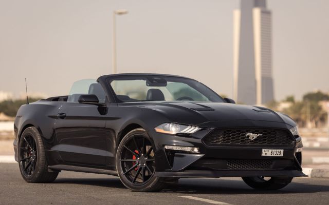 Ford Mustang - image 1