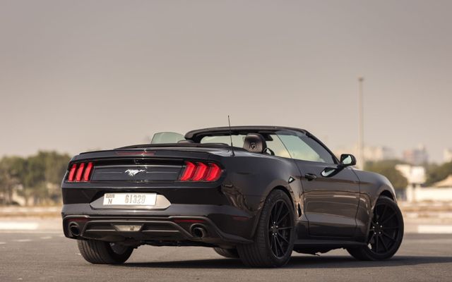 Ford Mustang - image 3
