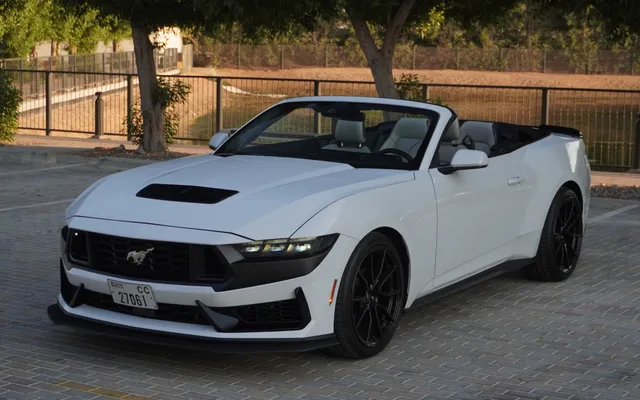 Ford Mustang - image 1