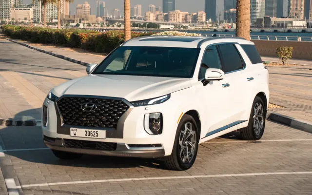 HYUNDAI PALISADE - image 1