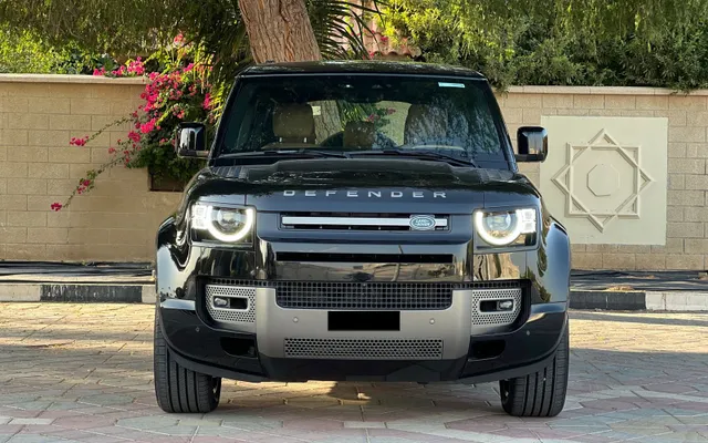 Land Rover Defender - image 2