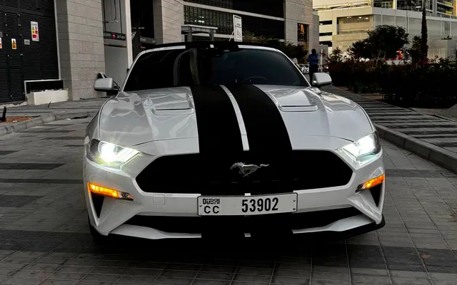 Ford Mustang - image 2