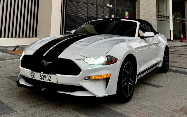 Ford Mustang - image 1