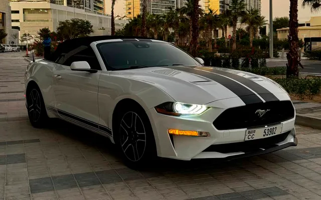 Ford Mustang - image 3