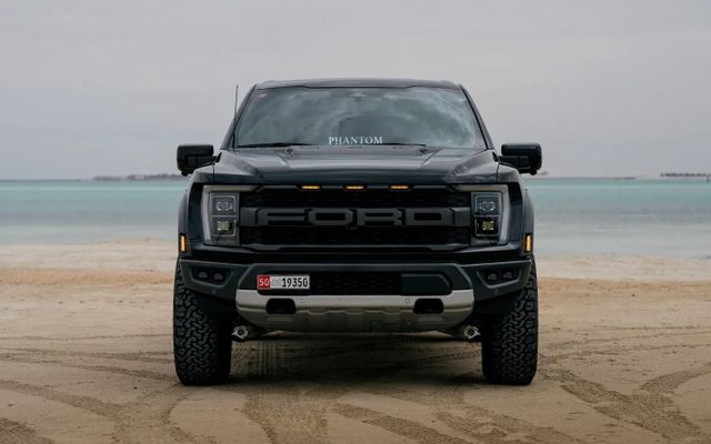 FORD F150 - image 3