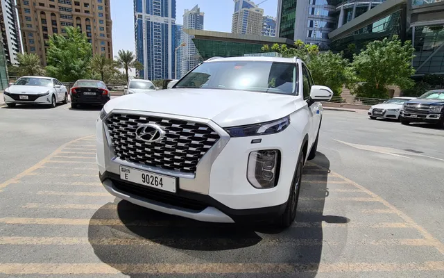 Hyundai Palisade - image 1