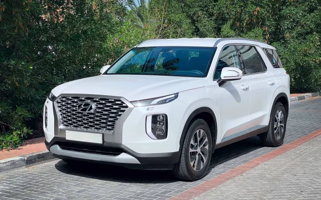 Hyundai Palisade - image 1