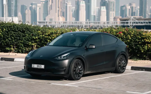 Tesla Model Y  Performance - image 1