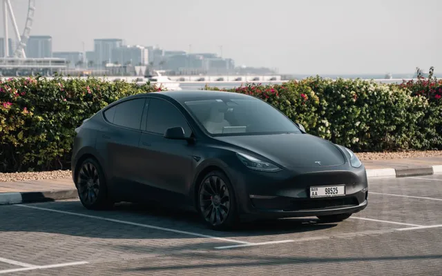 Tesla Model Y  Performance - image 3