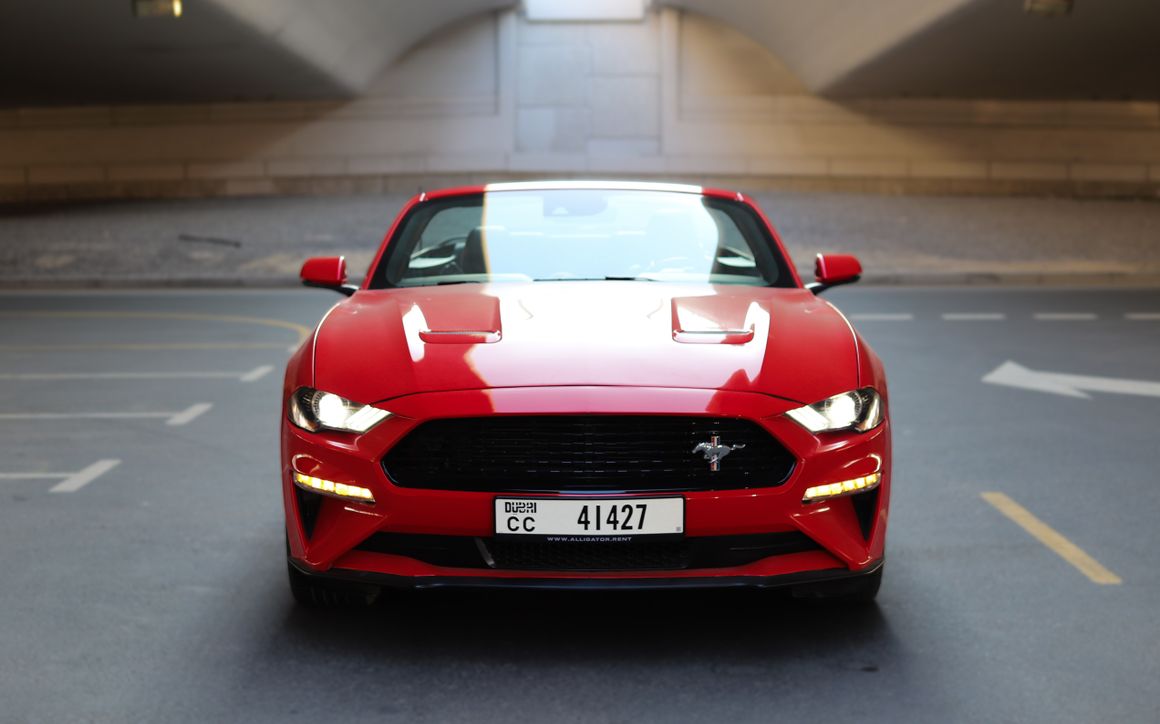 Ford Mustang - image 3