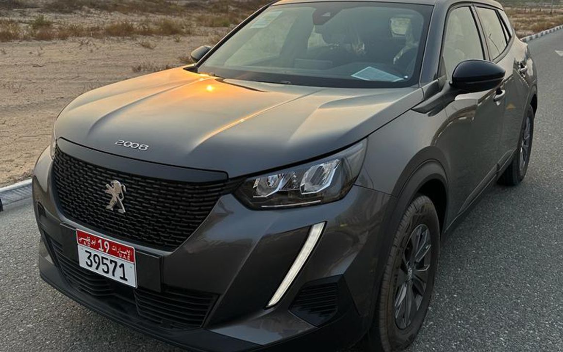 Peugeot 2008 - image 1