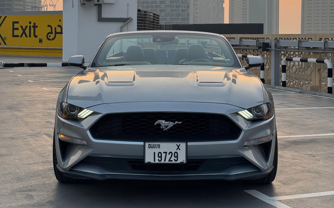 FORD MUSTANG - image 2