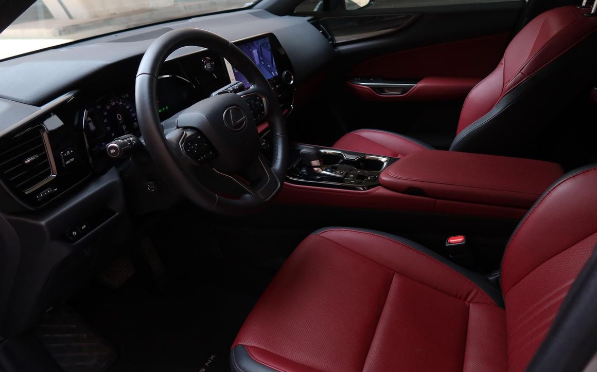 Lexus NX250 - image 7