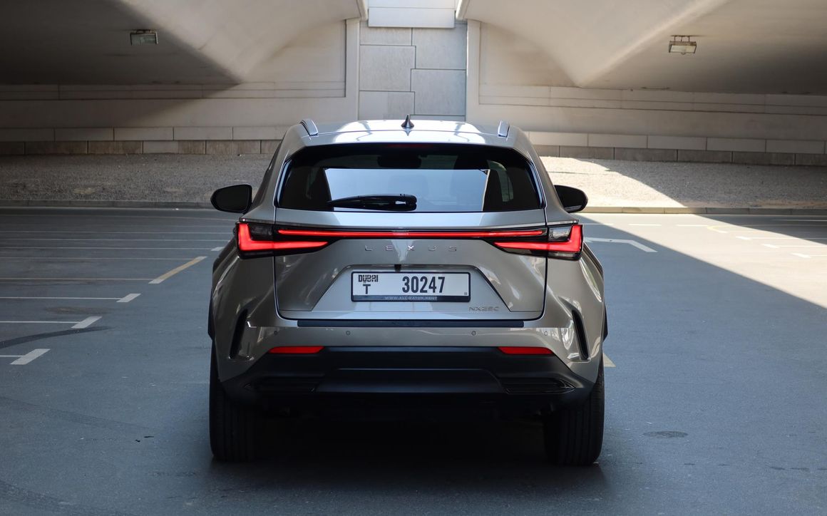 Lexus NX250 - image 6