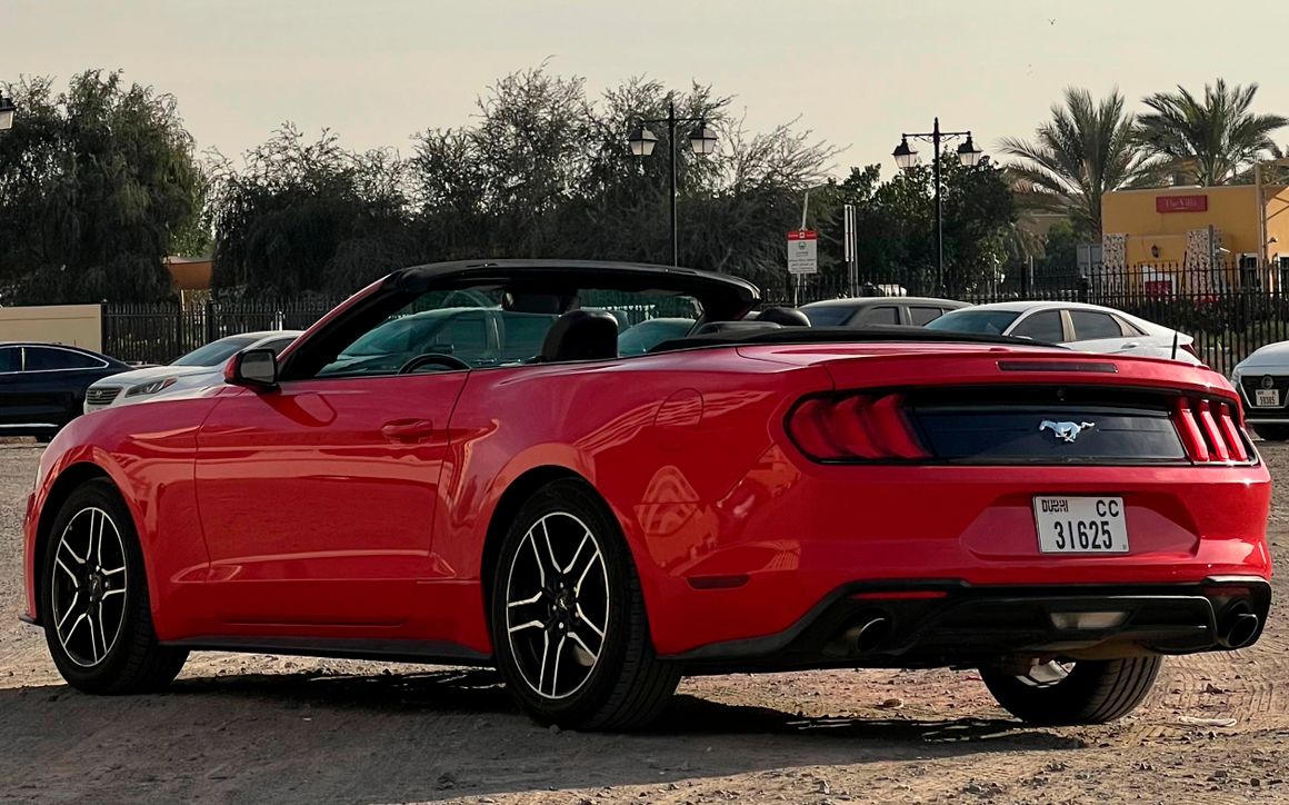 Ford Mustang - image 5