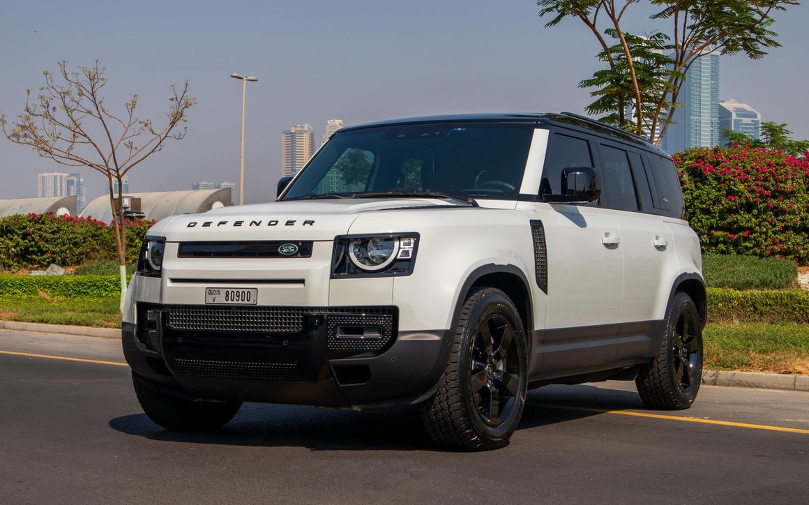 LAND ROVER DEFENDER - image 1